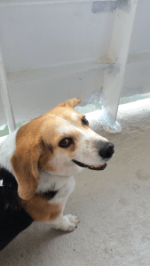 Sorry, Jamie Fraser. I don't get seasick!