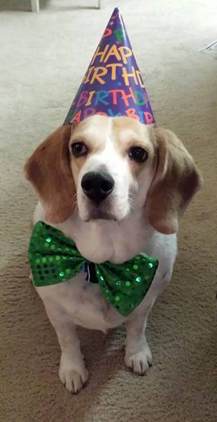 I was told there would be cake.